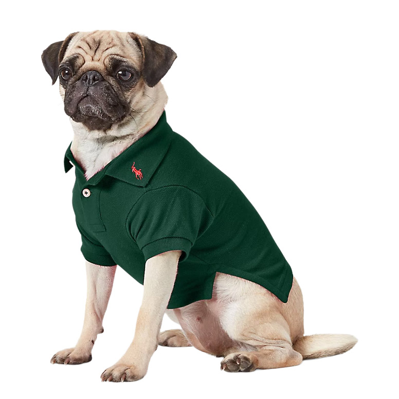 Polo Ralph Lauren Cotton Mesh Dog Polo Shirt - Solid New Forest